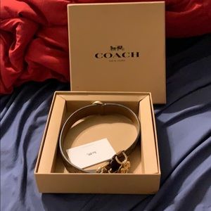 Coach dog collar size large